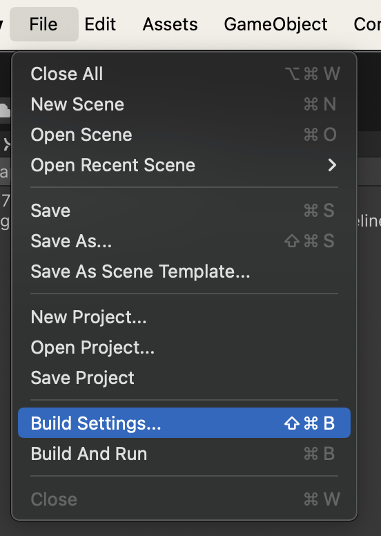 Build Settings Option
